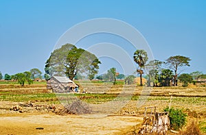 The village shanties in Yangon suburb, Myanmar photo