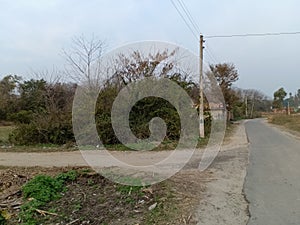 Village side road show calmness