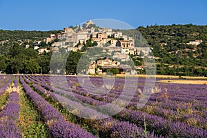 The village of Simiane-la-Rotonde in summer with lavender fields. Alpes-de-Hautes-Provence, France