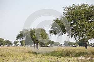 Village in South Sudan photo