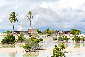 Village on South Tarawa atoll, Kiribati, Gilbert islands, Micronesia, Oceania. Thatched roof houses. Rural life, a remote paradise photo