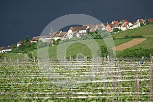 Village in the sunshine with grey sky