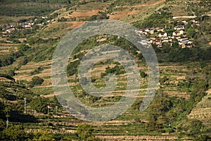 The village, terrace fields,and the green mountain