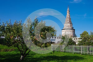 Village Teryaevo, Volokolamsk district, Moscow region, Russia - September, 2020:  Iosifo-Volotsky monastery, kremlin wall and