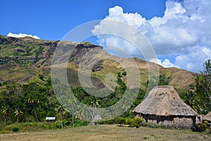 Village thatched house