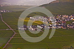 Village of Trittenheim in the vineyards at the river