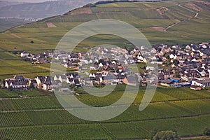 Village of Trittenheim in the vineyards at the river