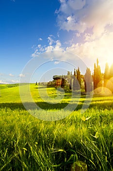 village in tuscany; Italy countryside landscape with Tuscany rolling hills ; sunset over the farm land