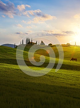 village in tuscany; Italy countryside landscape with Tuscany rolling hills ; sunset over the farm land