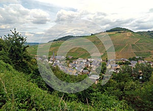 Village Veldenz and whineyards in german region Moselm rhineland-palatinate