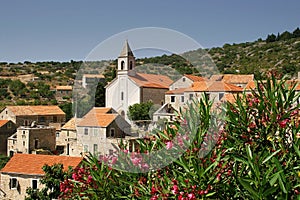 Village of Velo Grablje photo