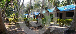The village view of andaman nikobar iland  houses  and coconut trees.