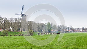 Village view Buren. Gelderland, Netherlands