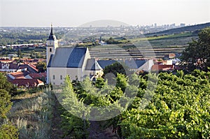 Obec s vinohradom