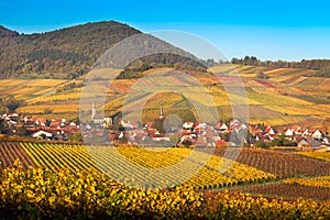 Village with vineyards at autumn, Pfalz, Germany