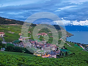 Village in vineyards, Switzerland