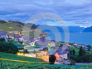 Village in vineyards, Switzerland