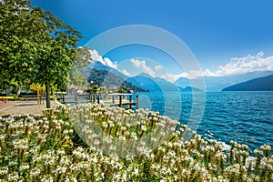 Village Weggis, lake Lucerne Vierwaldstatersee, Pilatus mountain and Swiss Alps in the background near famous Lucerne Luzern c