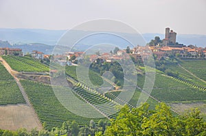 village vineyards Langhe serralunga Alba photo