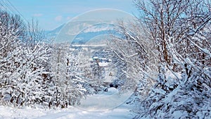Village In Winter Scene, Mountain On The Background