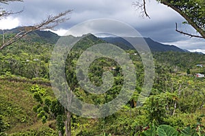 Village in Woods and Valley of Jayuya photo