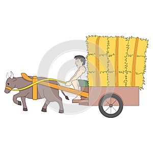 Village youths are riding on carts carrying hay