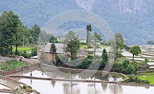 Village in Yuanyang county, Yunnan, China