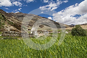 A village in Zanskar