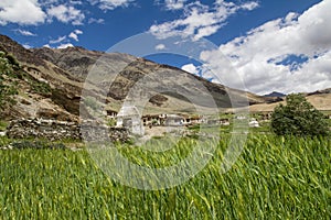 A village in Zanskar photo