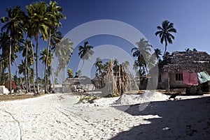 Village, Zanzibar