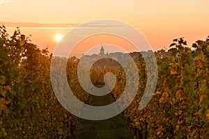 The Village of Zellenberg at sunrise,Alsace vineyard, France