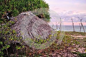 Villager's hut in Savu island photo