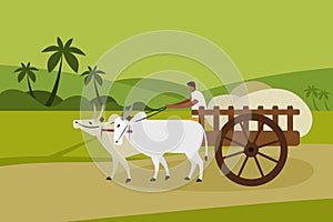 A villager transports goods in a bullock cart