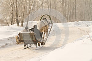 A villager in a village goes in a makeshift sleigh and runs a horse, a clear winter day