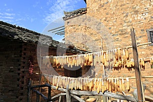 Villagers drying corn and chili, adobe rgb