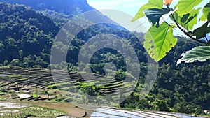 Villages and fields at the foot of the mountain