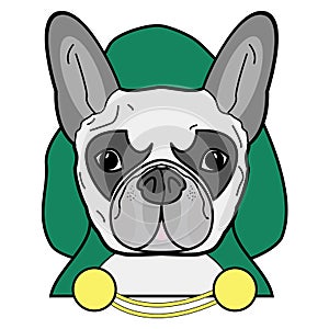 Villain symbol with hood, cape witch gold chains , in green, yellow, and gray as French bulldog character on white background