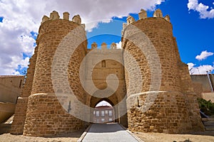 Villalpando door of Saint Andres in Zamora Spain