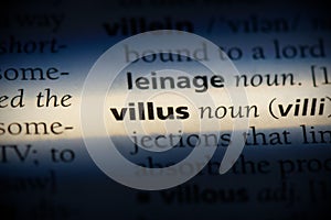 Villus photo