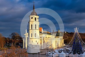 Vilnius. The cathedral and the tower of the Gediminas.