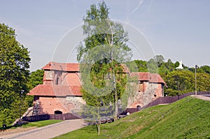 Vilnius Gediminas castle ruins in spring time