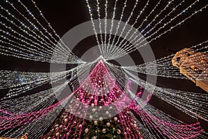 Vilnius, Lithuania: Christmas tree in Cathedral Square