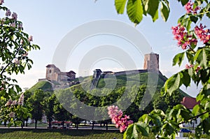 Vilnius symbol - historical castle and tower of Gediminas in spring, Lithuania