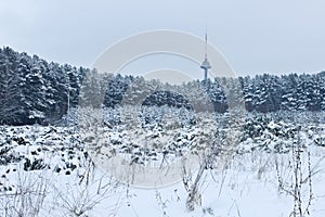 Vilnius TV tower