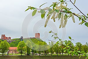 Vilnius Upper Castle with Tower Of Gediminas