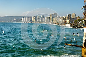 Vina del Mar beach in Chile photo