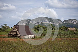 Vinales National Park