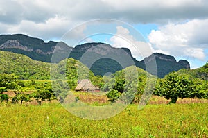 Vinales national park in Cuba