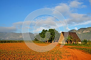 Vinales national park and its typical tobacco house, Cuba