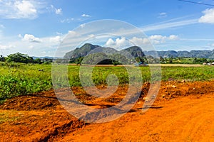 Vinales rural landscape, countryside of Cuba